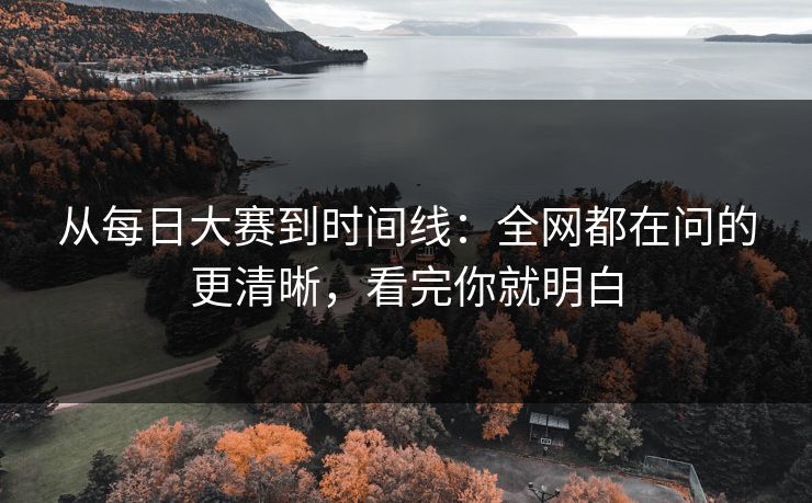 从每日大赛到时间线：全网都在问的更清晰，看完你就明白